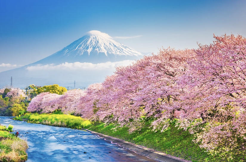 홋카이도 여행지 이미지