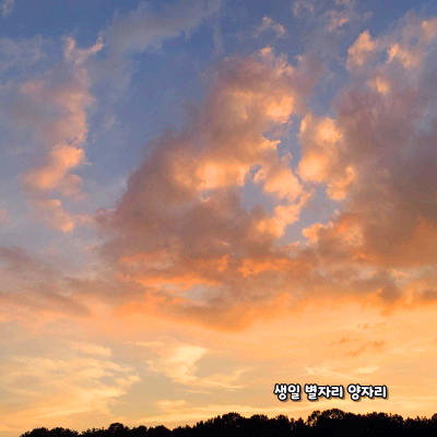 생일 별자리로 알아보는 성격 - 양자리