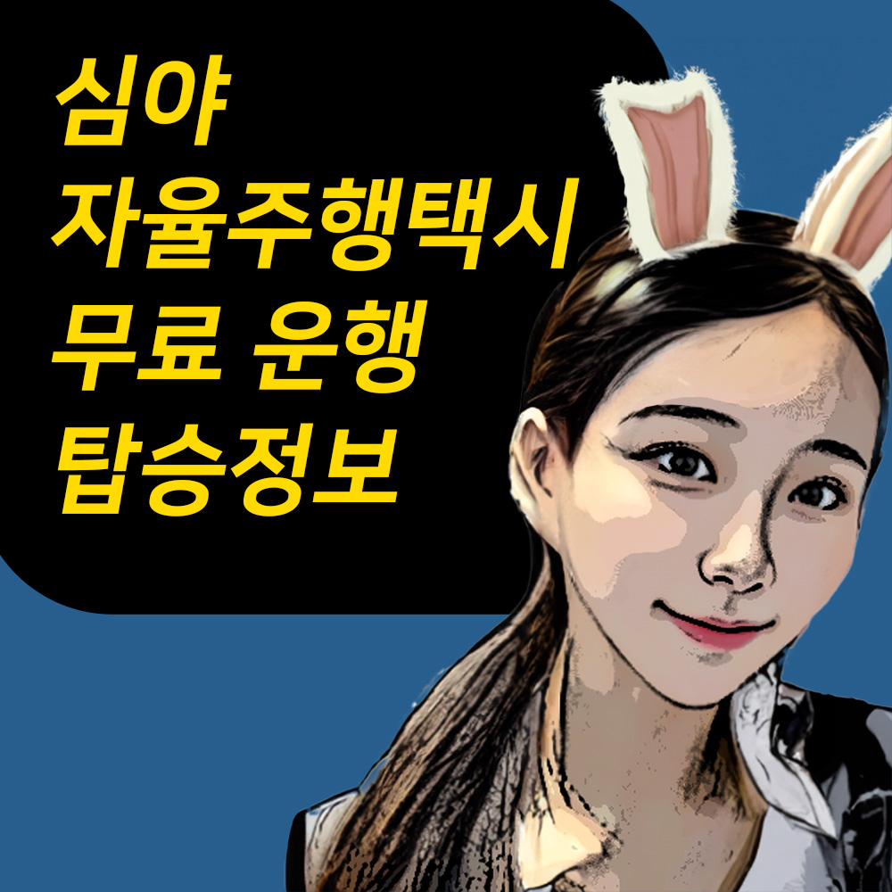 강남 심야 무료 자율주행택시 지역 운행시간 탑승정보