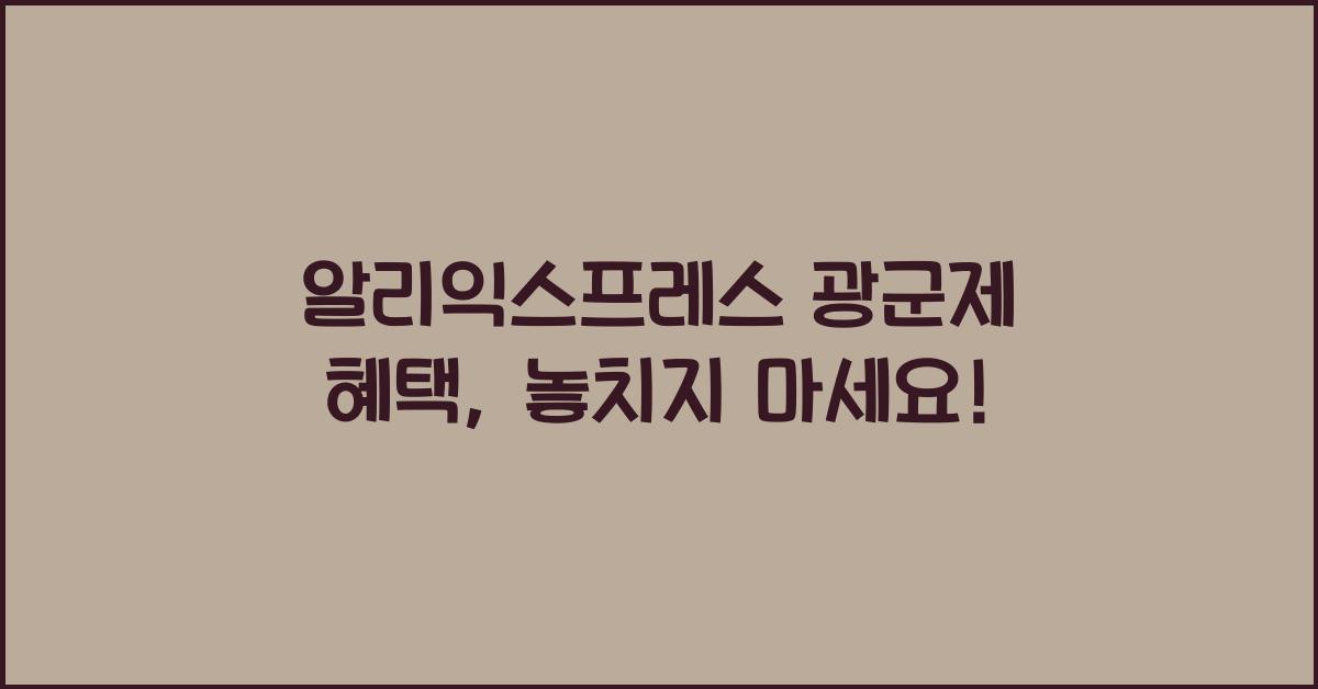 알리익스프레스 광군제