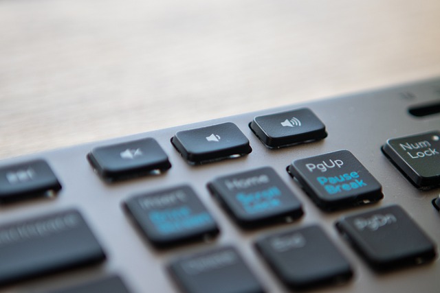 한글 무료 다운로드