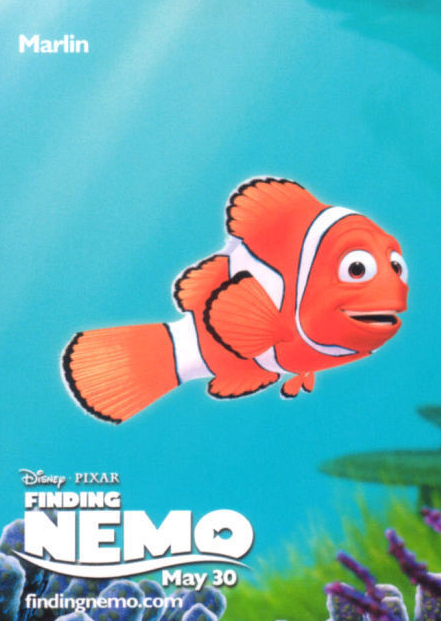 니모를찾아서