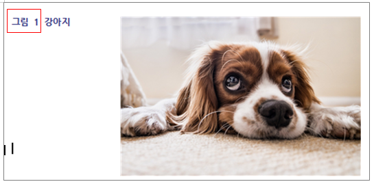 한글 캡션 설정 표번호 그림번호