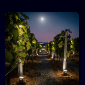 2025년 가을시 모음