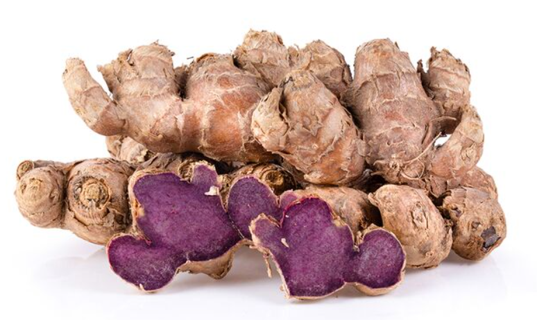 파비플로라 효능