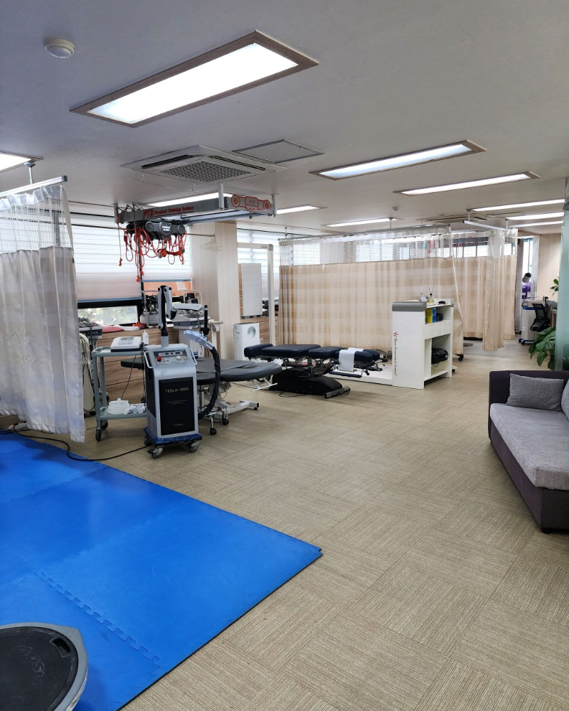 양천구 신월4동 정형외과 유명하고 잘하는 곳 추천 TOP 5