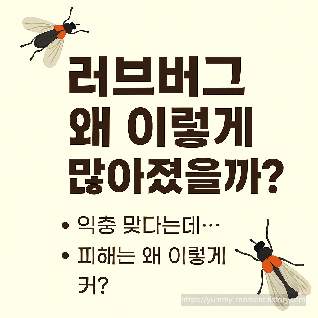 러브버그 왜 이렇게 많아졌을까?