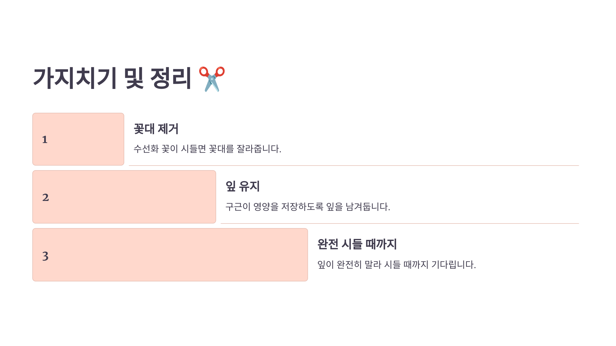 수선화 사진입니다.