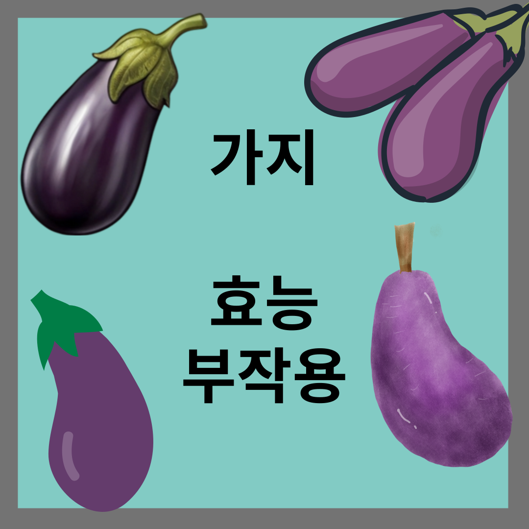 가지 효능 부작용