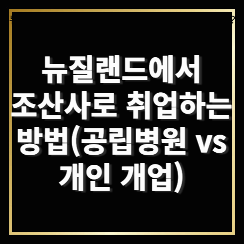 뉴질랜드에서 조산사로 취업하는 방법 (공립병원 vs 개인 개업)