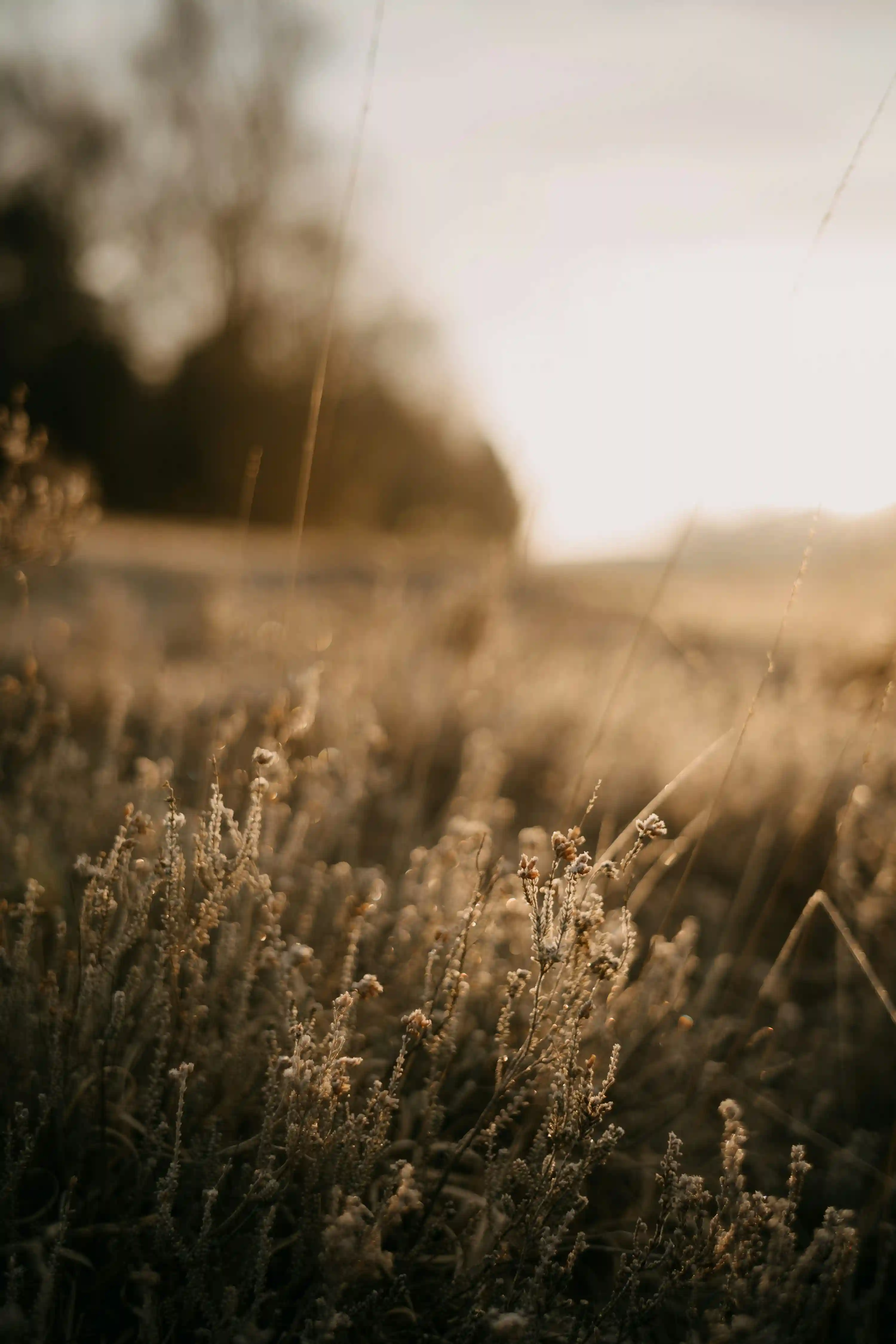 B형독감 잠복기 총정리 (+A형과 차이·격리기간·예방)