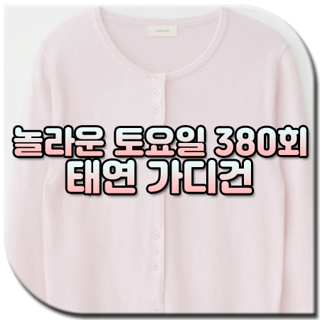 놀라운 토요일 380회 태연 가디건