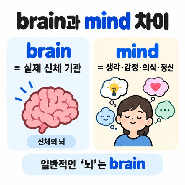 brain은 신체 기관 mind는 생각과 정신을 뜻한다는 차이를 비교한 카드뉴스