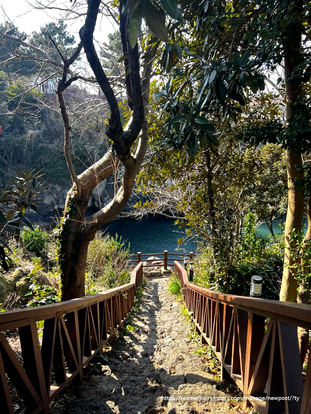 절벽 내려가는길