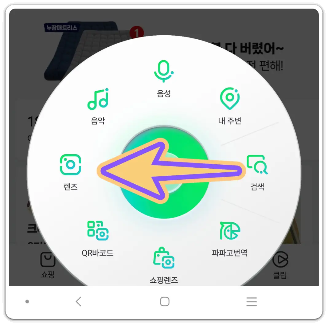 꽃-나무-이름-찾기-검색-방법