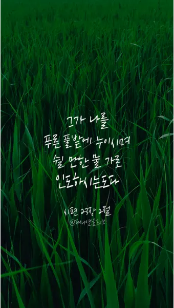 시편 29장 11절 읽기 - 여호와께서 자기 백성에게 힘을 주심이여 여호와께서 자기 백성에게 평강의 복을 주시리로다_17