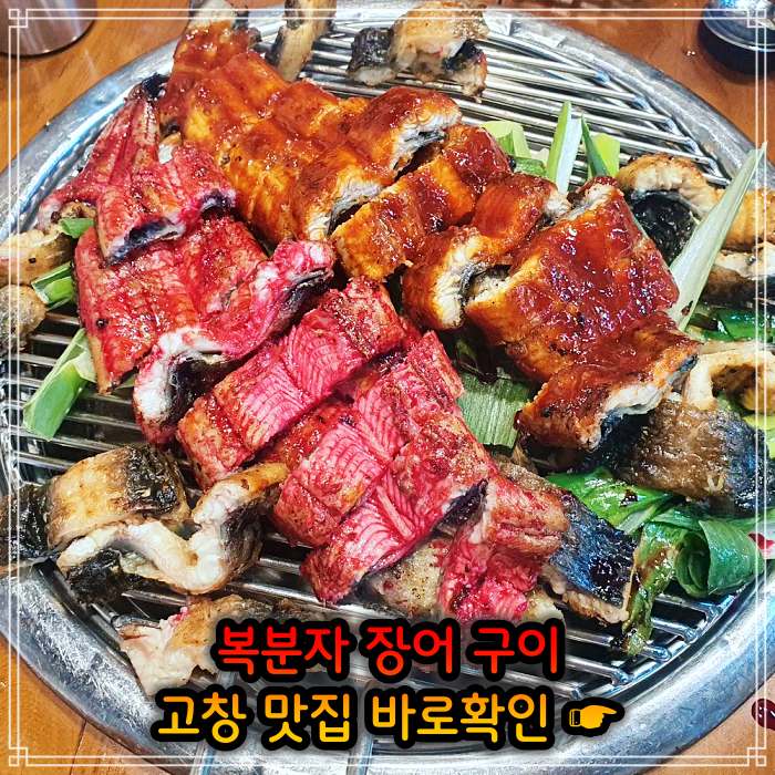 6시내고향 고창 선운사 복분자 장어구이 맛집