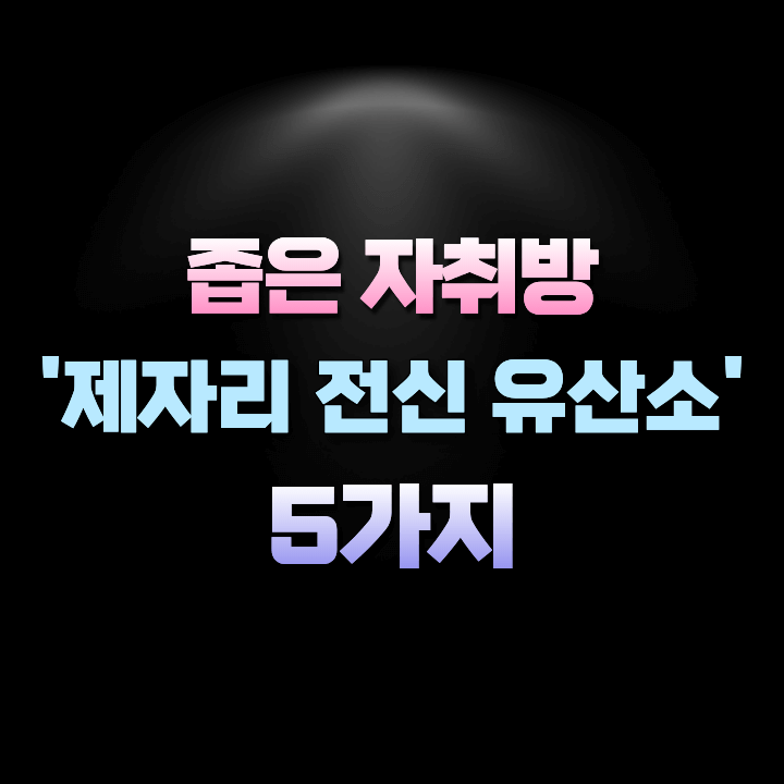 제자리전신유산소5가지