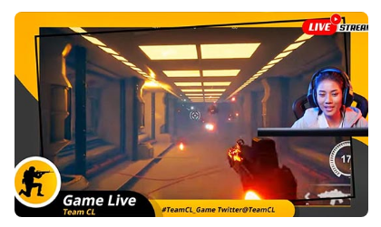 라이브 스트리밍