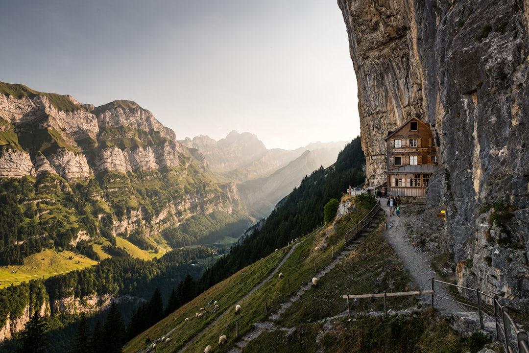 Guesthouse