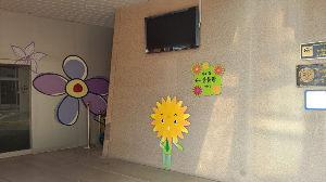 화성_우리꽃식물원_국화전시회