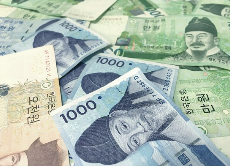 출자금 관련 사진