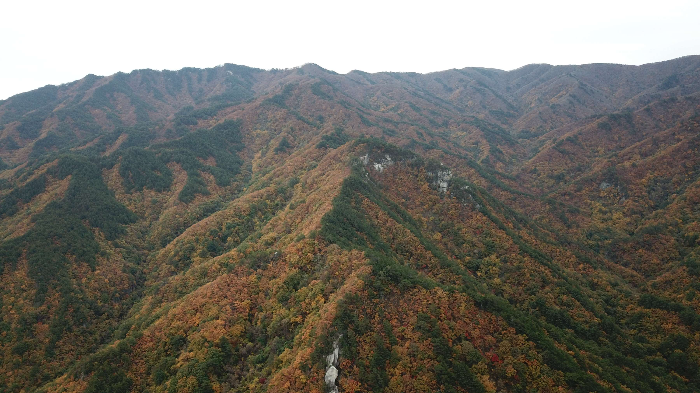 오대산 가을의 모습
