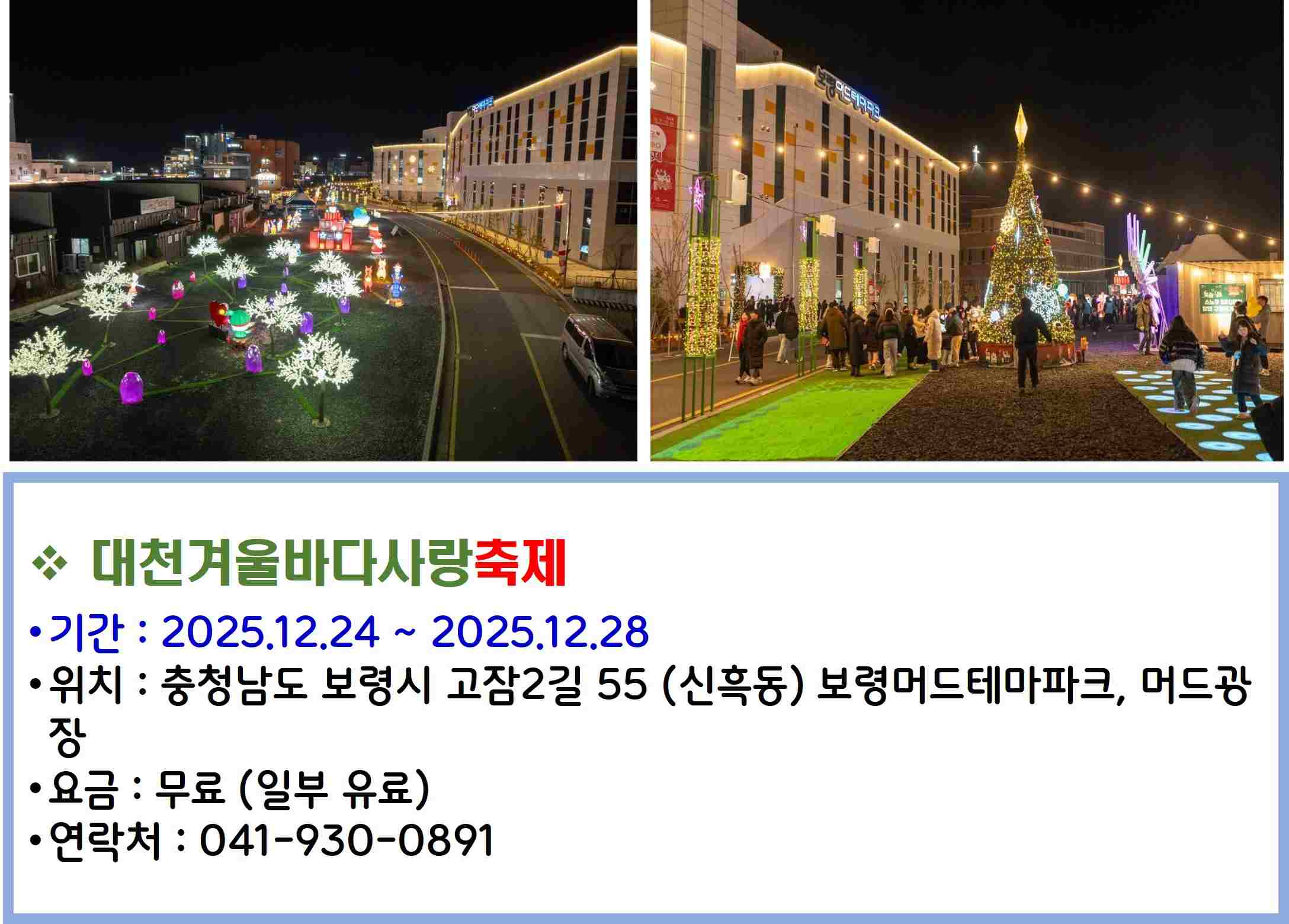 대천겨울바다사랑축제