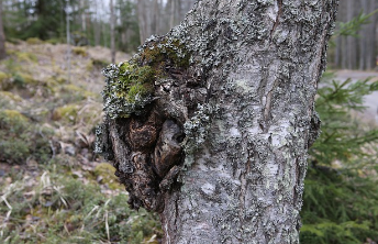 경기도 청년복지포인트 2025년 최신정보 23