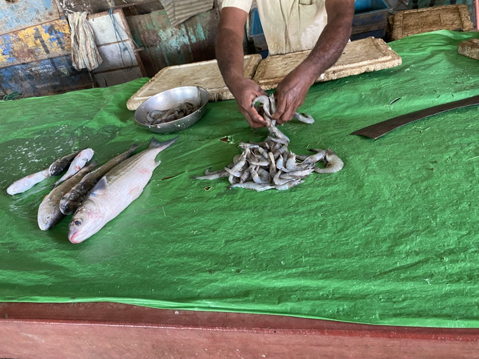 스리랑카 시골마을에서 장보기