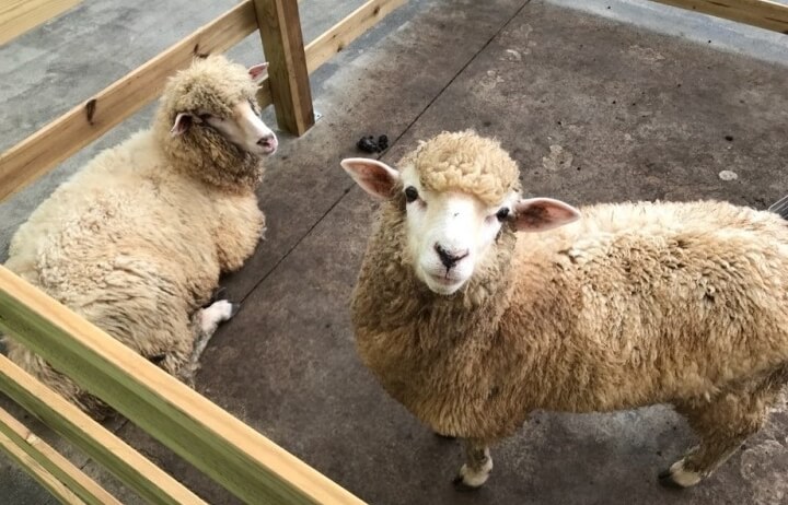 논산 가볼만한곳 베스트 10