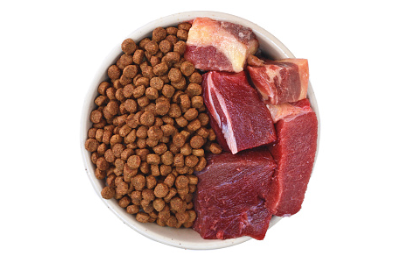 강아지 사료와 생고기