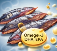 과메기 맛있게 먹는법