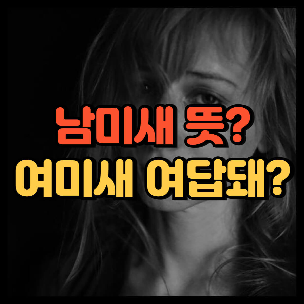 남미새 뜻