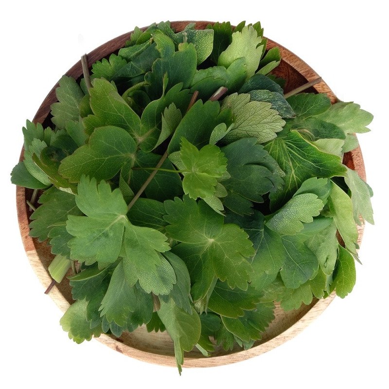 남도장터 쇼핑몰 이용 방법