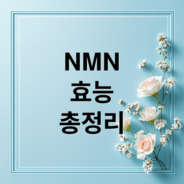 NMN의 모든 것: 효능, 복용법
