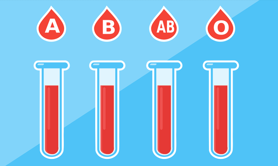 빈혈에 도움을 주는 굴 효능