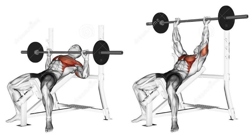 인클라인 벤치프레스