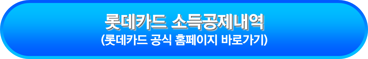 롯데카드 소득공제내역