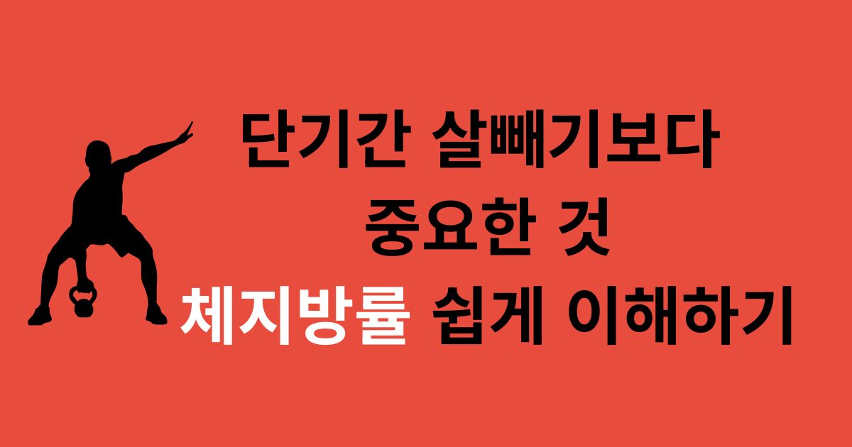 체지방률 쉽게 이해하기