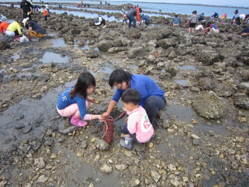 대전 세종 충청 4월 축제 일정
