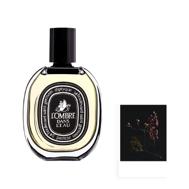 딥디크 롬브르 단 로