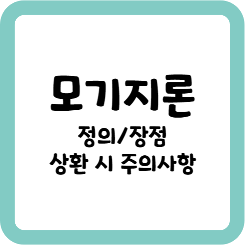 모기지론 장점