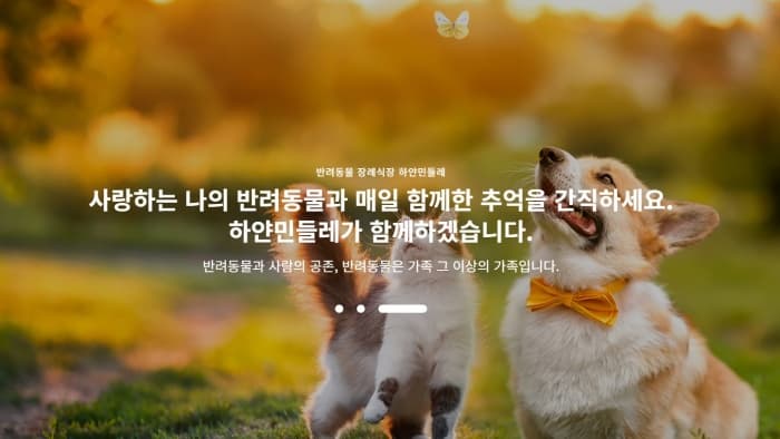 청도에 이런 곳이? 반려동물 마지막 인사를 위한 장례식장 ‘하얀민들레’