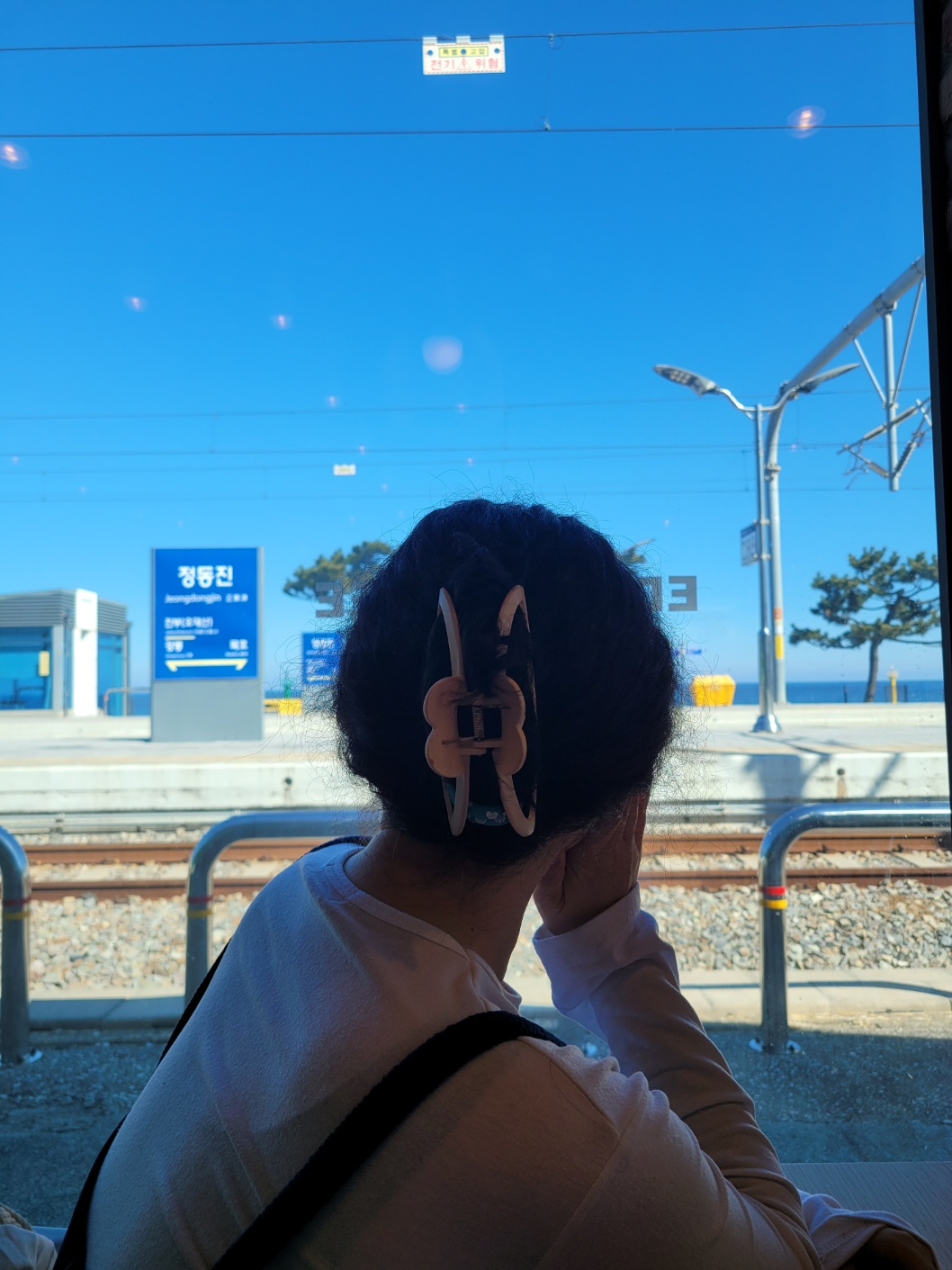 정동진 레일바이크 내돈내산 꿀팁: 모든 타임 매진 주의! 예약 방법과 입장료 정보 총정리