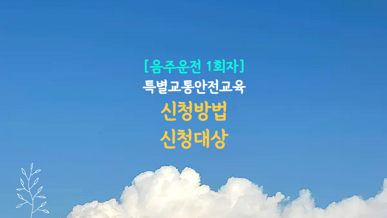음주 1차 특별교통안전교육 신청