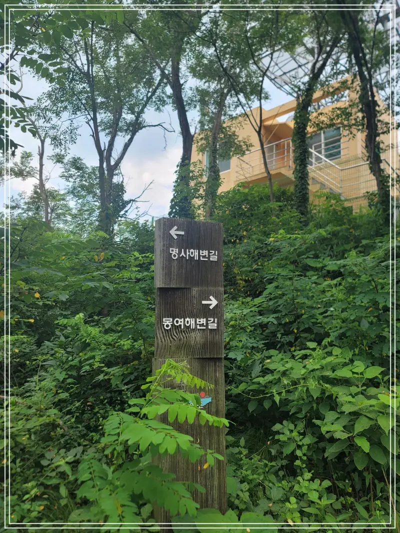 소무의도-둘레길20250714_122359