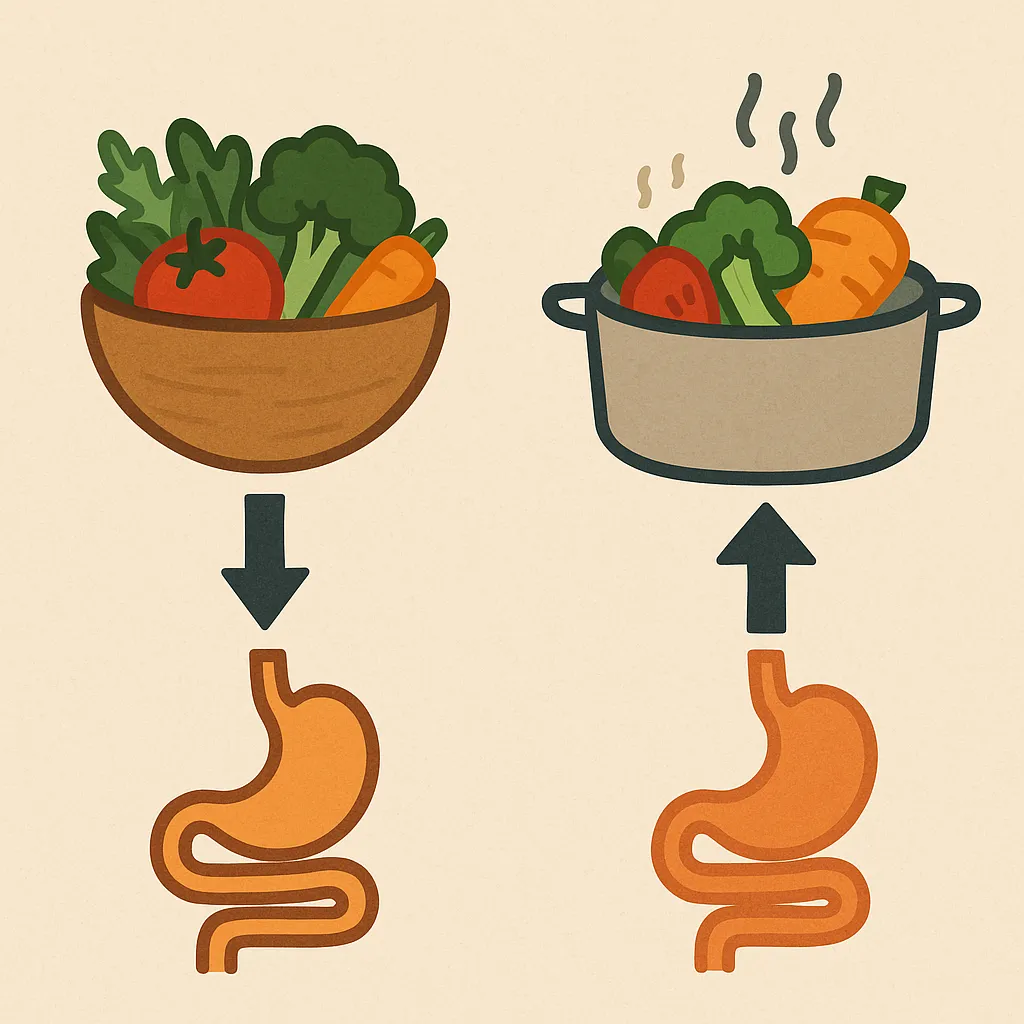 생채소와-익힌-채소의-영양-흡수율-차이를-상징적으로-표현한-일러스트-이미지로-신선한-채소와-조리된-채소를-비교적으로-묘사