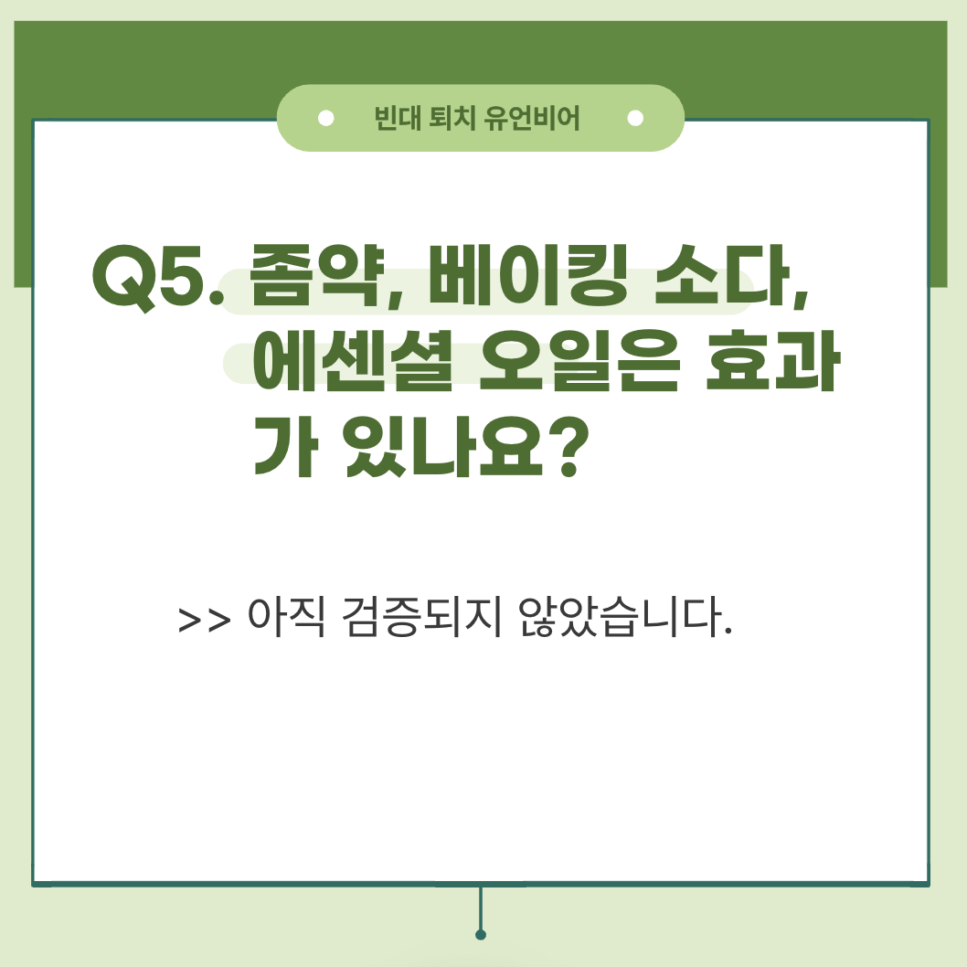 빈대 퇴치 방법 및 빈대 퇴치 유언비어(+2024)