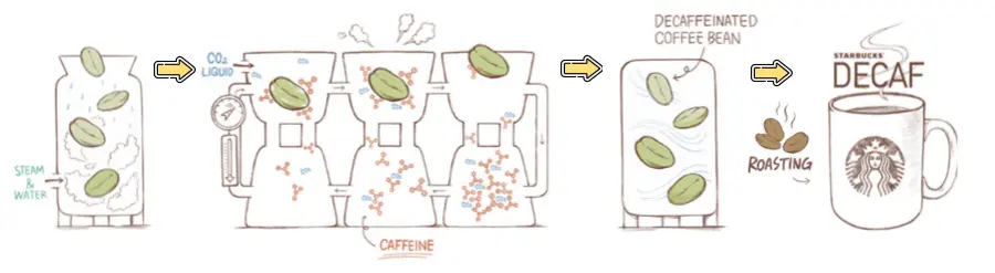 스타벅스 디카페인 과정